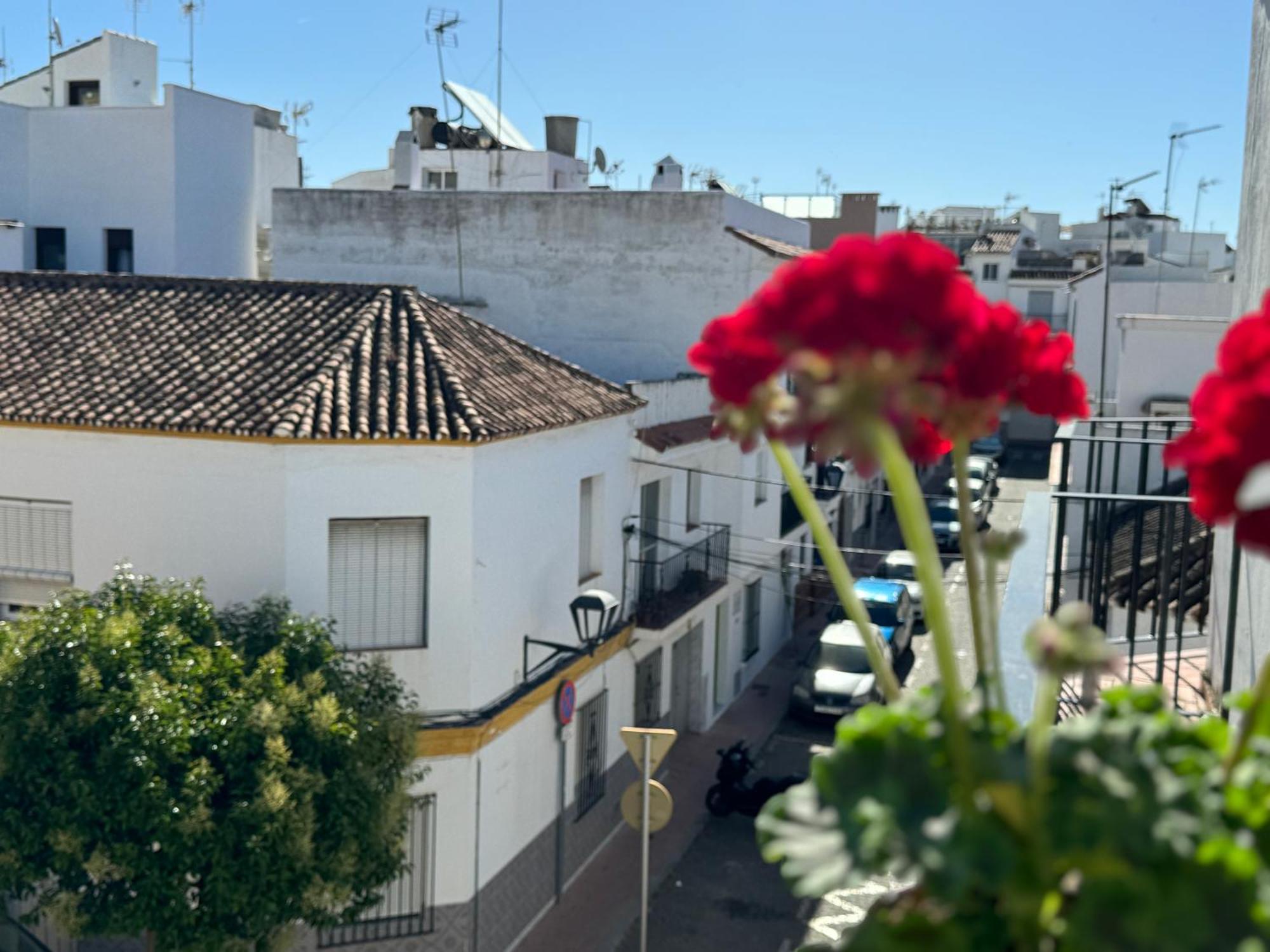 Encantadora Casa En El Corazon De *