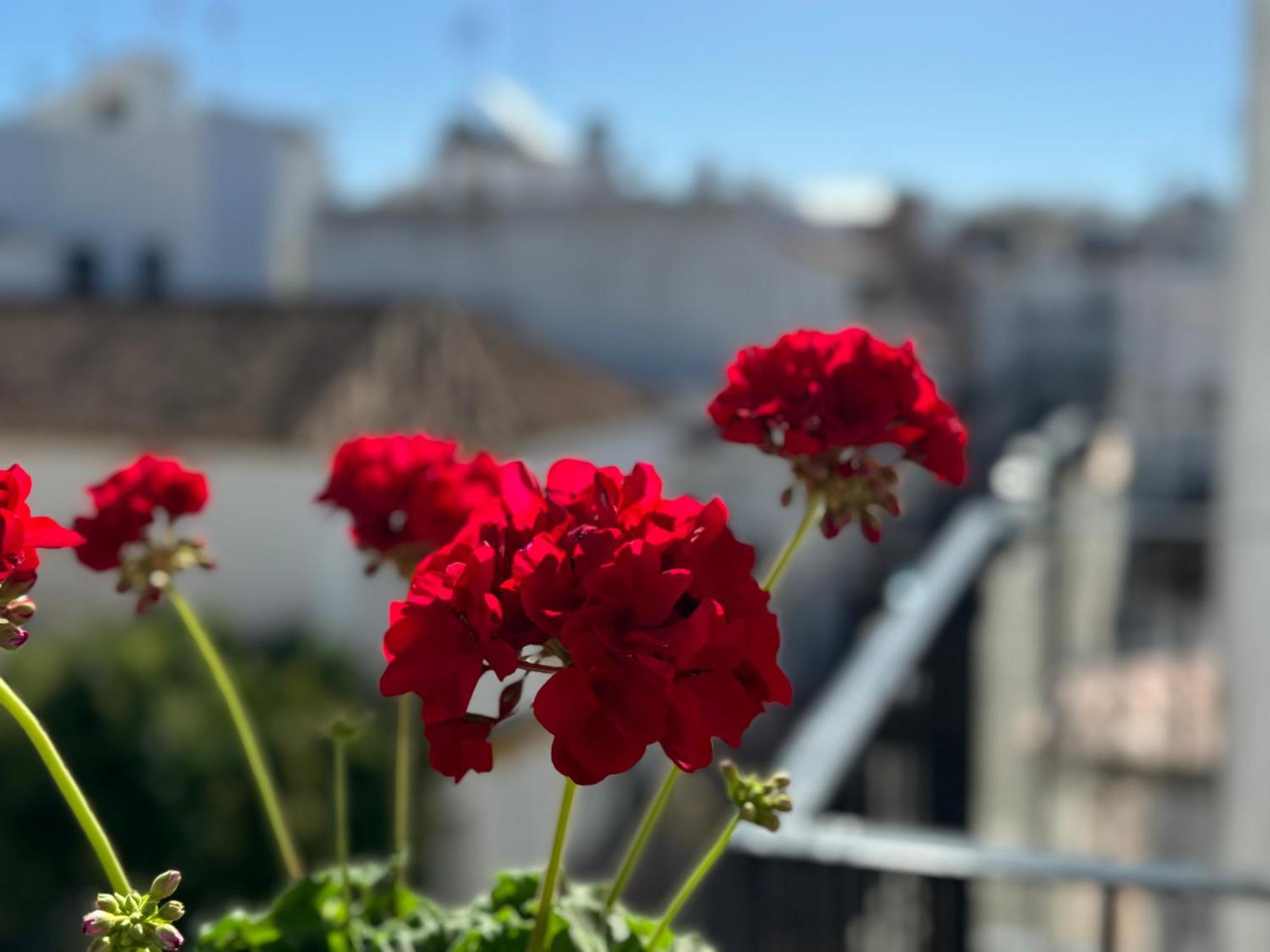 Appartement Encantadora Casa En El Corazon De Estepona