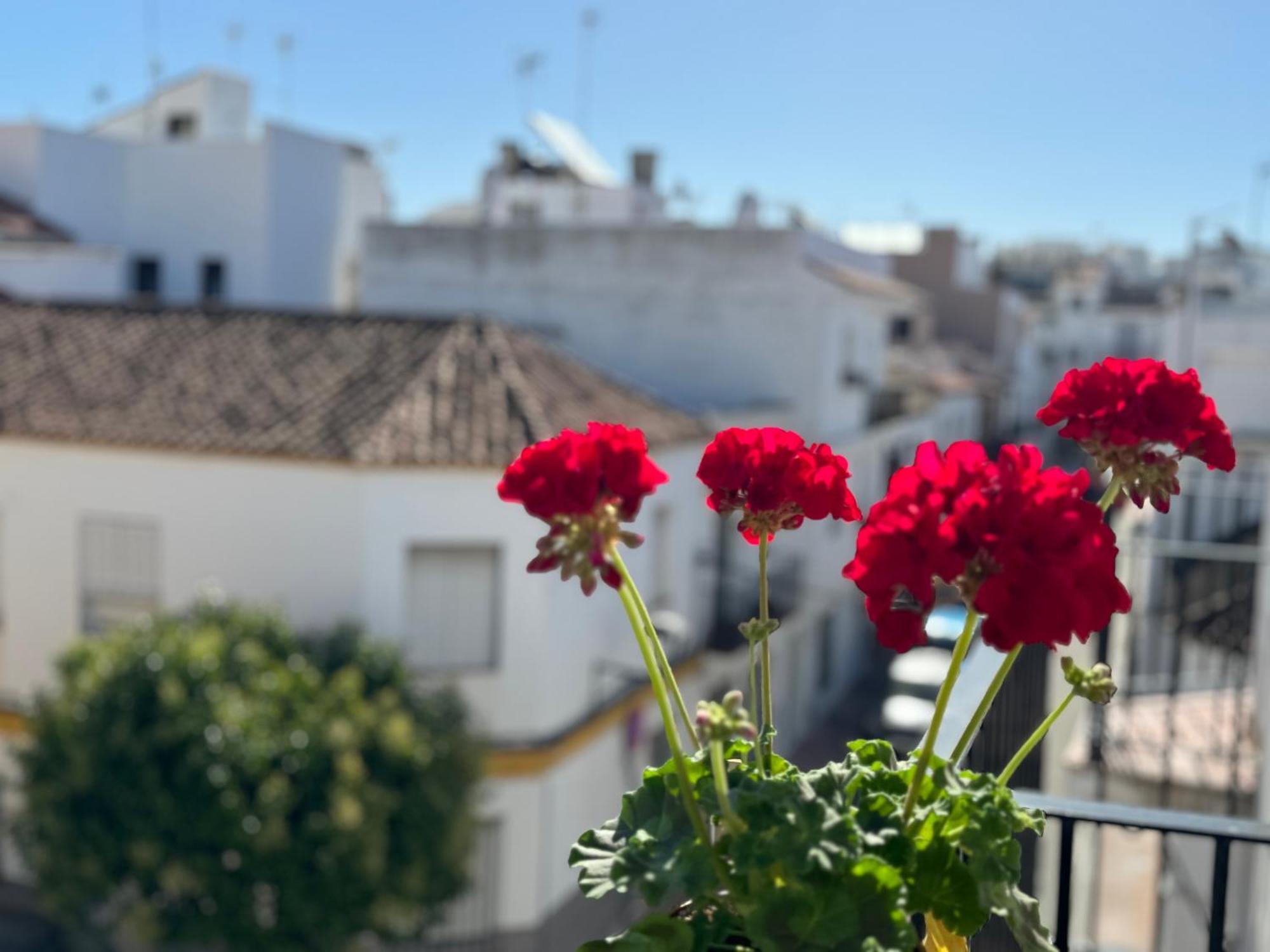 Encantadora Casa En El Corazon De *